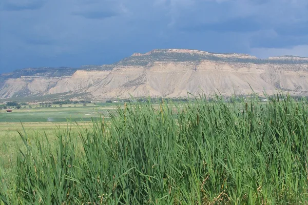 Yucca House National Monument